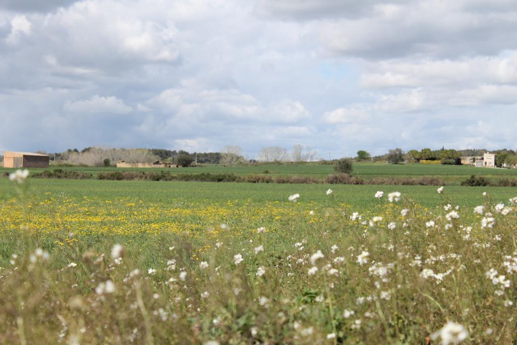 L'Essencia De L'Emporda -Girona- Lägenhet Verges Exteriör bild